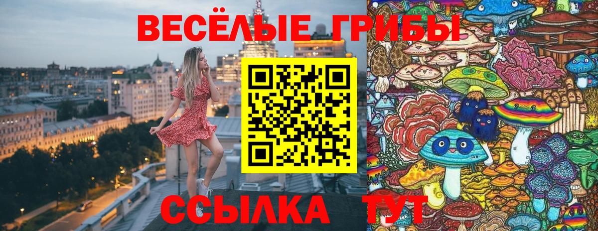 Галлюциногенные грибы Psilocybine cubensis  наркотики  Корсаков  Вход с VPN  Галлюциногенные грибы Psilocybine cubensis 